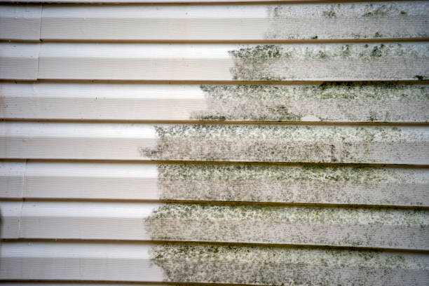 Best Residential Vinyl Siding Installation  in Little Silver, NJ