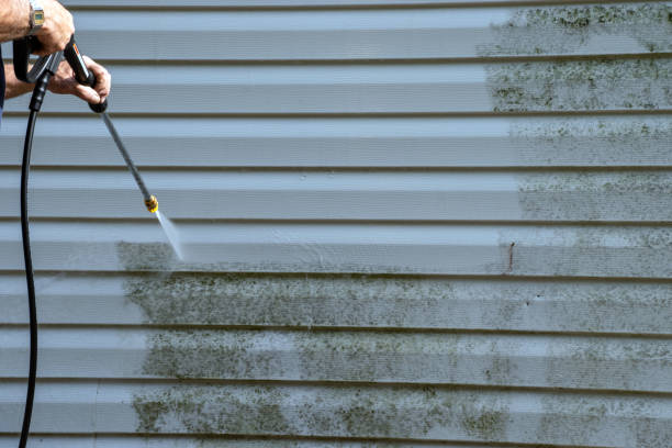 Best Fascia and Soffit Installation  in Little Silver, NJ