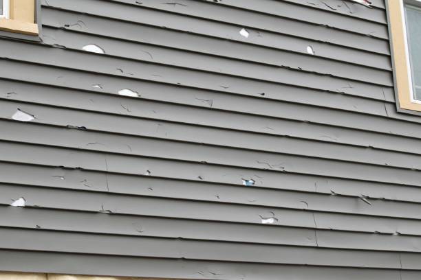 Best Siding for New Construction  in Little Silver, NJ
