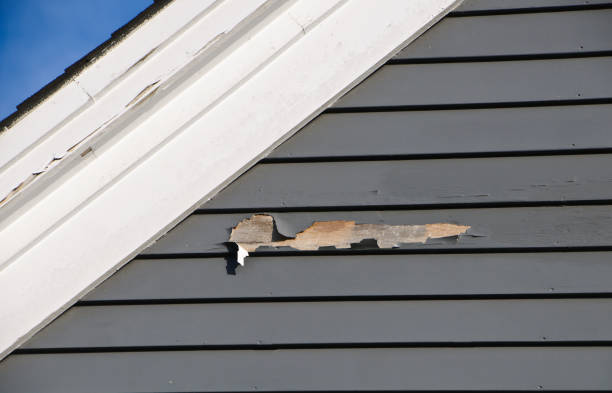 Best Custom Trim and Detailing for Siding  in Little Silver, NJ