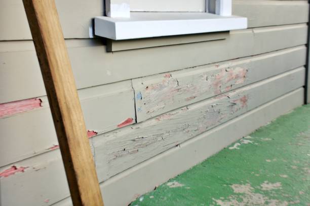 Best Storm Damage Siding Repair  in Little Silver, NJ