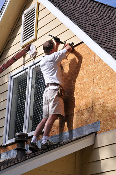 Best Stone Veneer Siding  in Little Silver, NJ